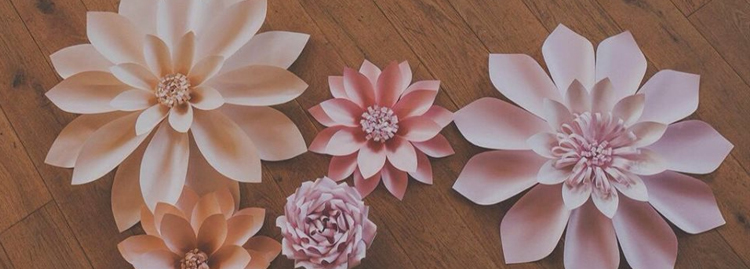 Paper Flower Studio